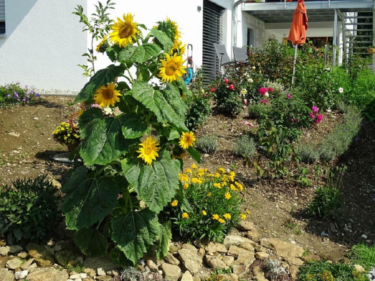 Ferienwohnung Hofstatt Lalling Εξωτερικό φωτογραφία